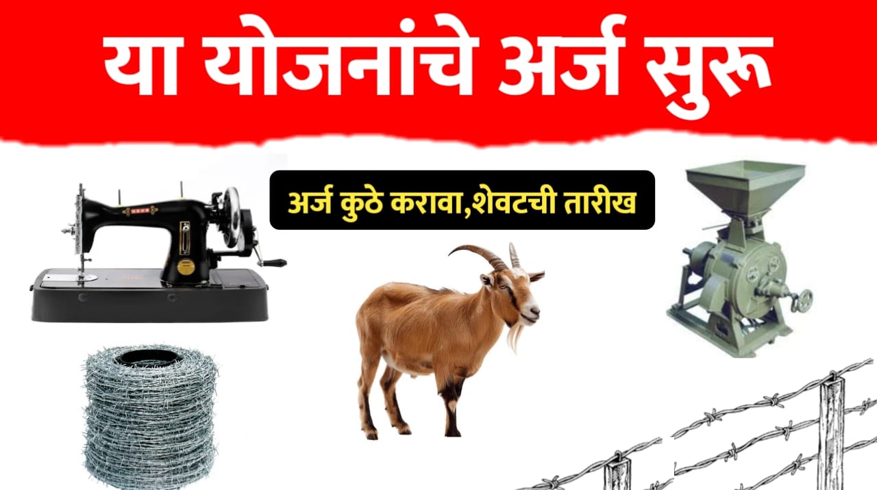 तार कुंपण