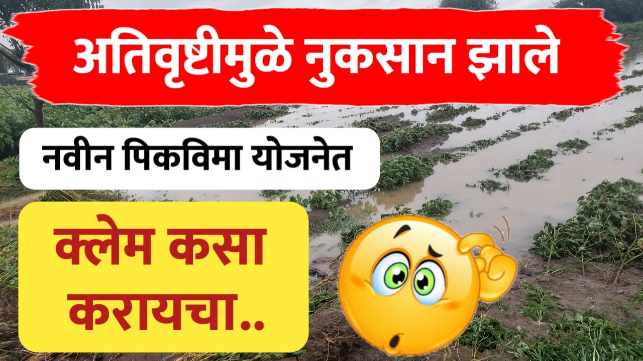 Pikvima yojana 2025