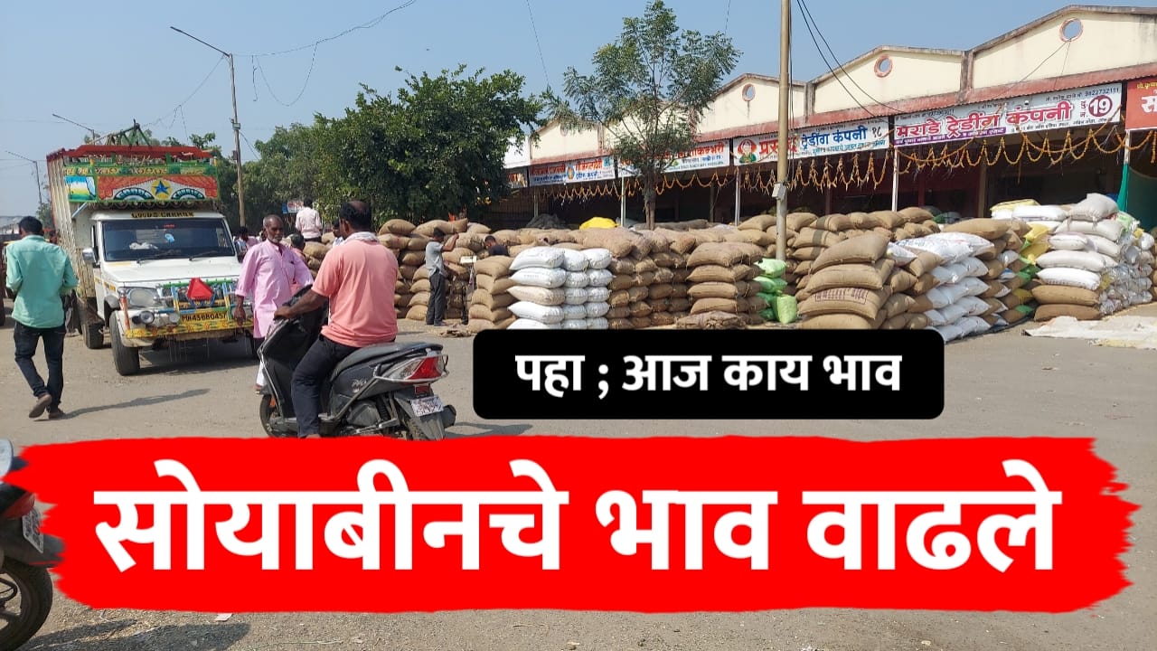 सोयाबीन बाजारभाव ; सोयाबीनच्या भावात वाढ, पहा आज किती वाढले