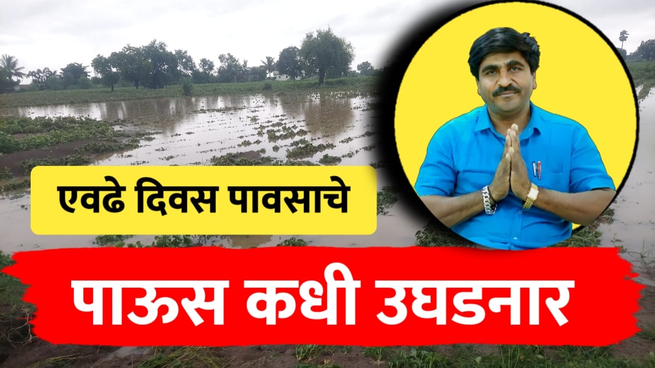 पंजाब डख हवामान अंदाज