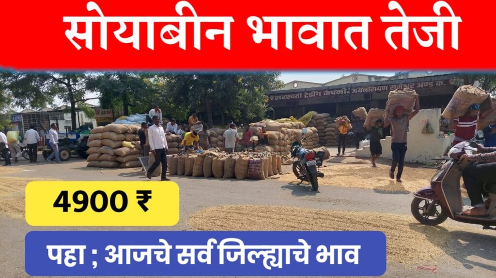 Soyabin rate ; सोयाबीनच्या भावात तेजी, (5000) पहा सर्व जिल्ह्यातील आजचे भाव