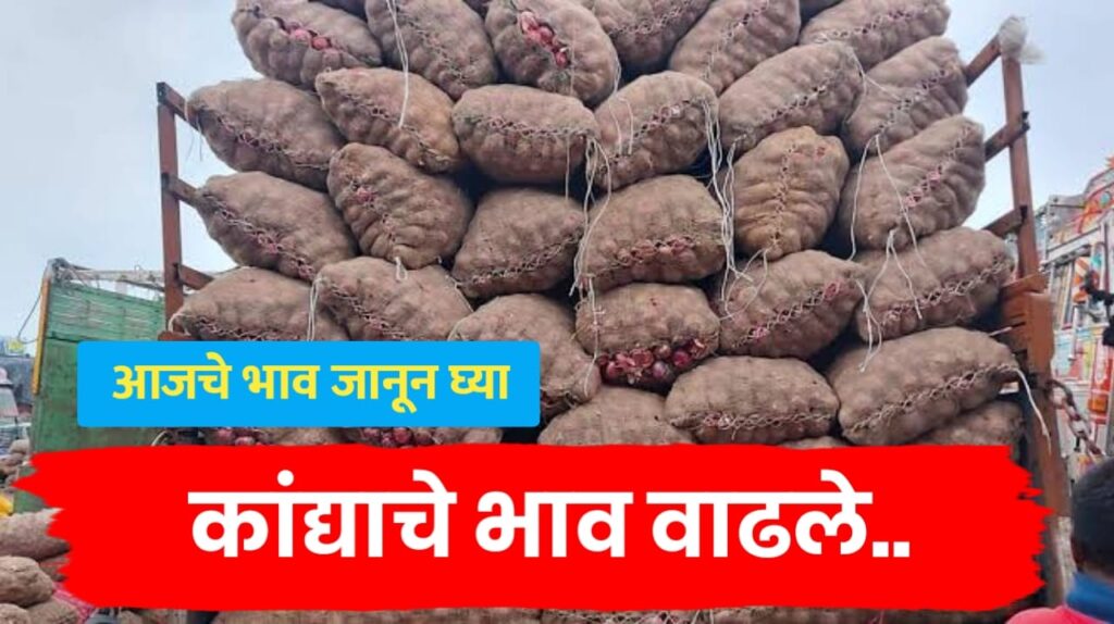 कांदा भाव वाढले, पहा आजचे कांद्याचे भाव live – kanda bajarbhav today