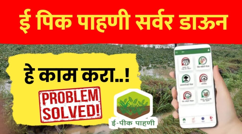 E Pik Pahani ; हे काम करा,ई पिक पाहणीला आडचन येनार नाही