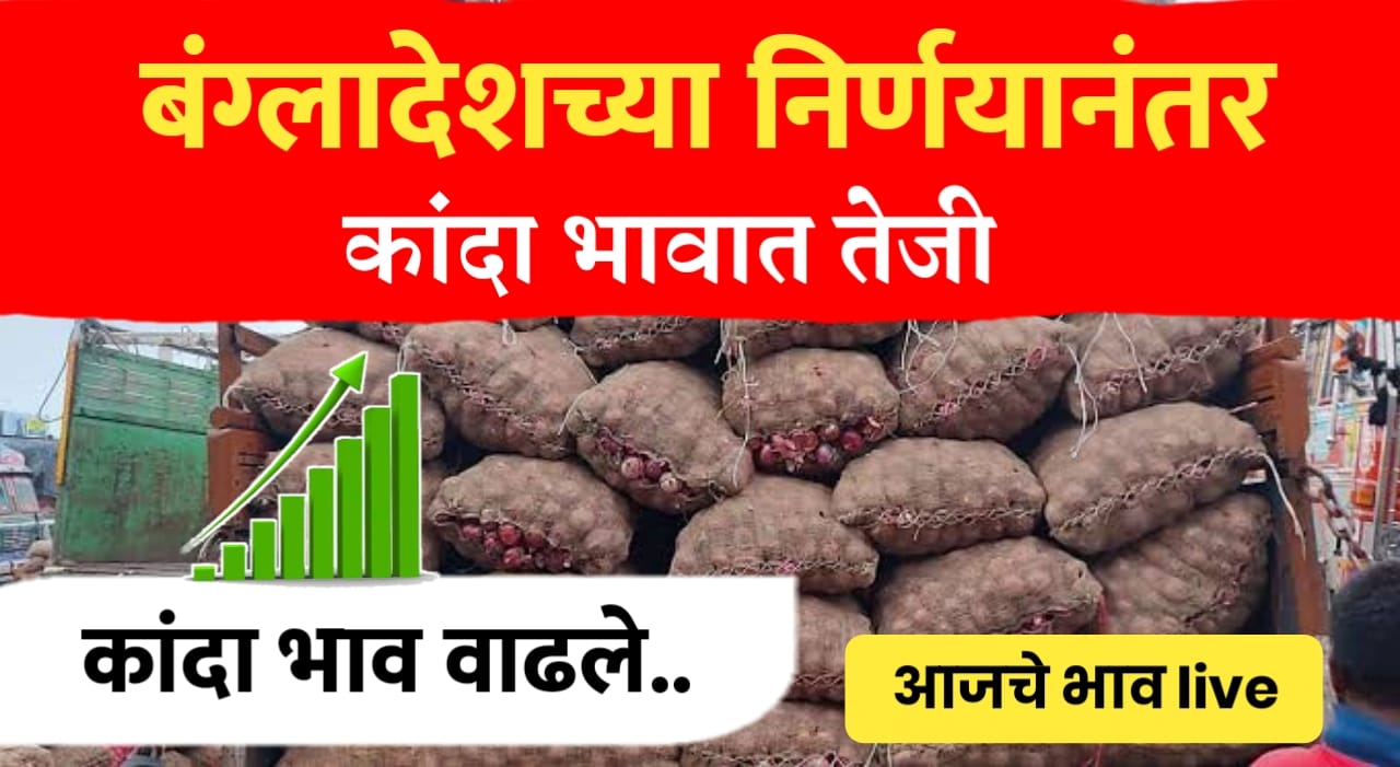 Onion rate ; बंग्लादेश निर्यातीमुळे कांदा भावात तेजी, पहा आजचे ताजे भाव live
