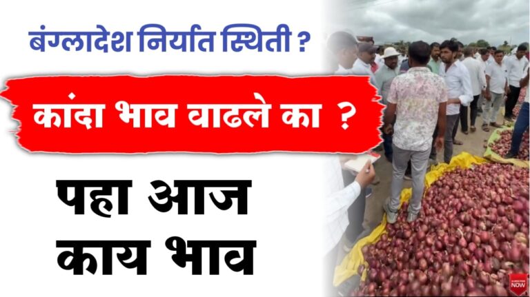 कांद्याचे भाव वाढले का, पहा आज कुठे किती भाव