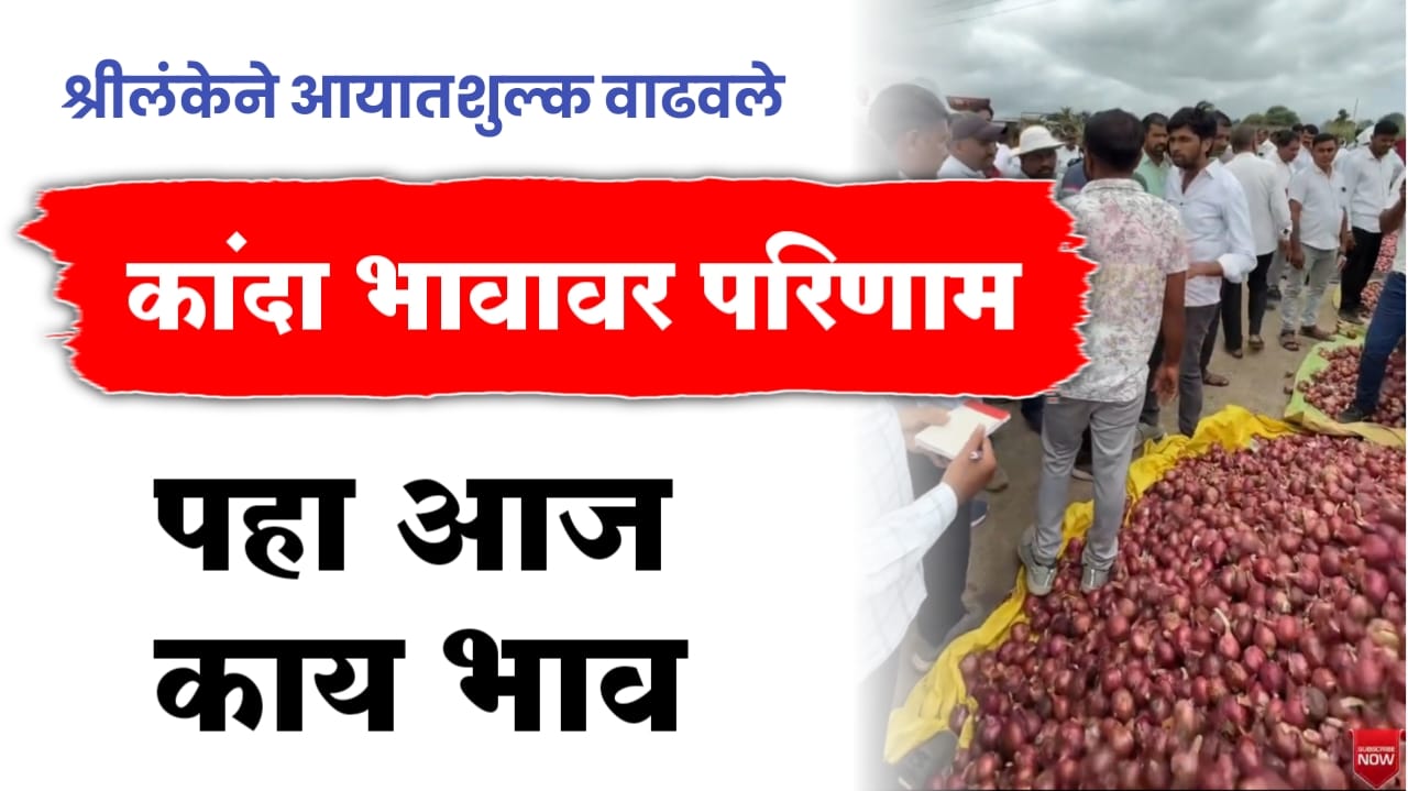 कांदा भाव