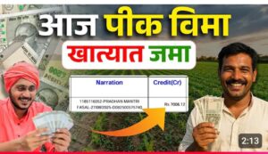 खरीप २०२४ पिकविमा