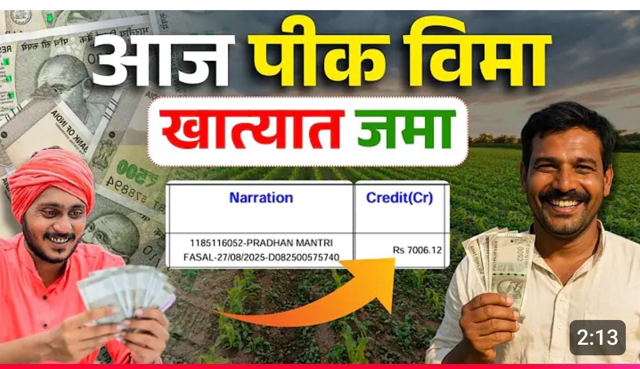 खरीप २०२४ पिकविमा