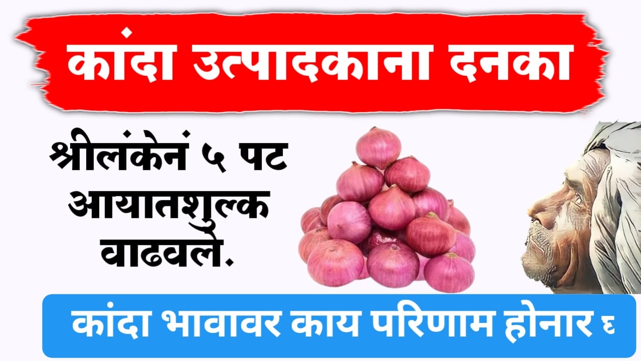 कांदा उत्पादकांना मोठा दनका